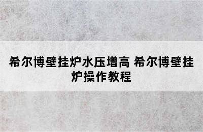 希尔博壁挂炉水压增高 希尔博壁挂炉操作教程